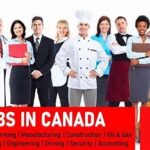 How to Find Your First Job in Canada: A New Immigrant’s Guide