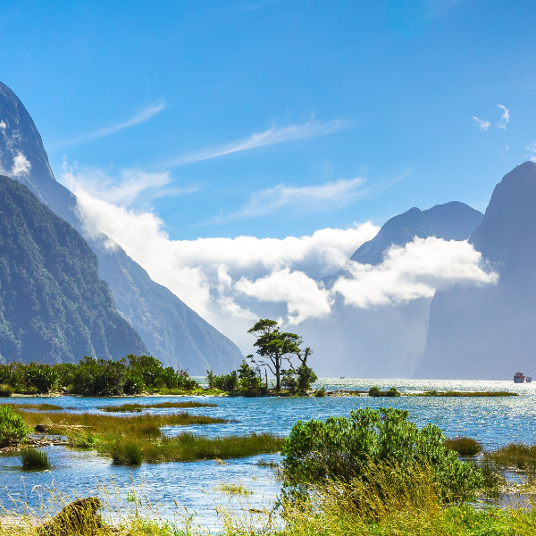 Partner of a New Zealander Resident Visa: Eligibility & Process