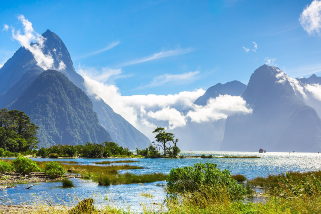 Partner of a New Zealander Resident Visa: Eligibility & Process