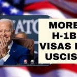 US H-1B Visa: USCIS Updates I-129 Form for 2025