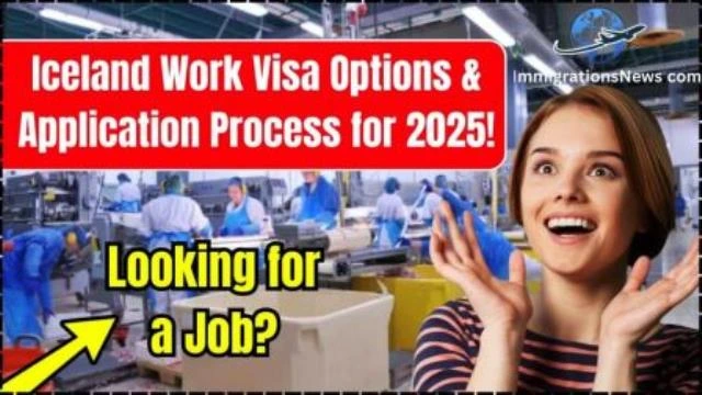Types of Iceland Work Visas in 2025 A Complete Guide