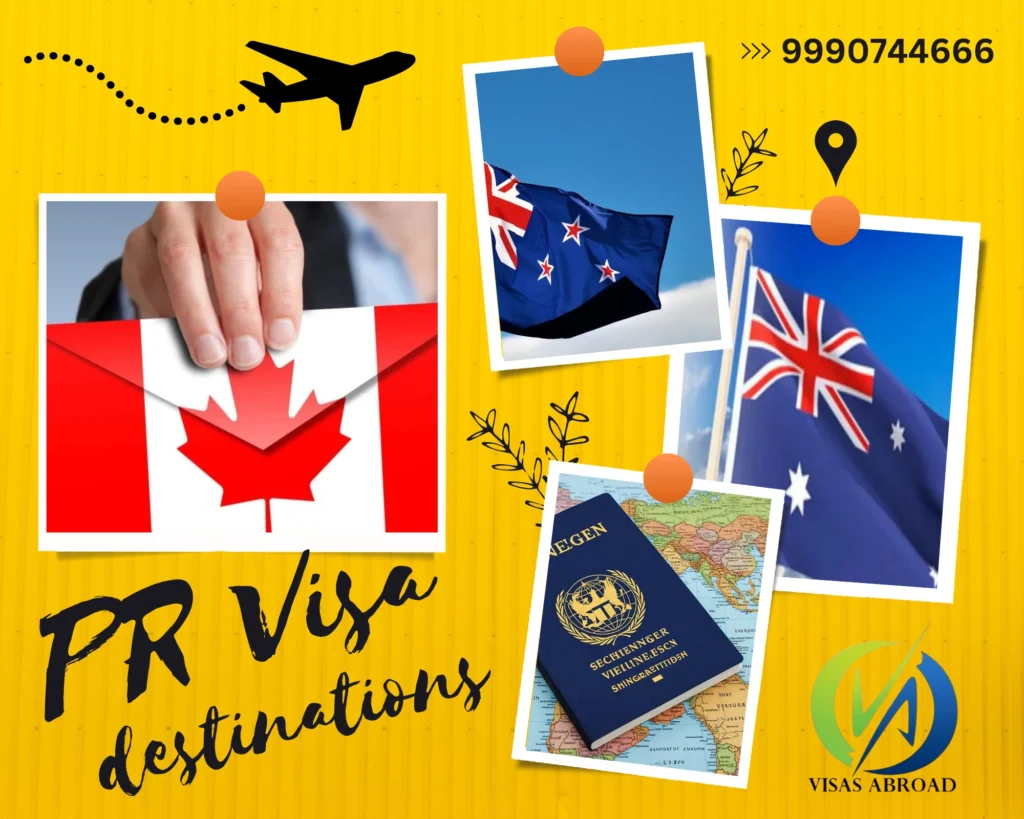 Study Overseas and Immigration Consultant